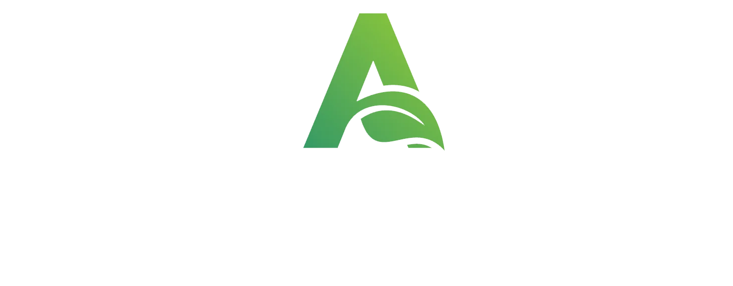 Anagha Energia logo